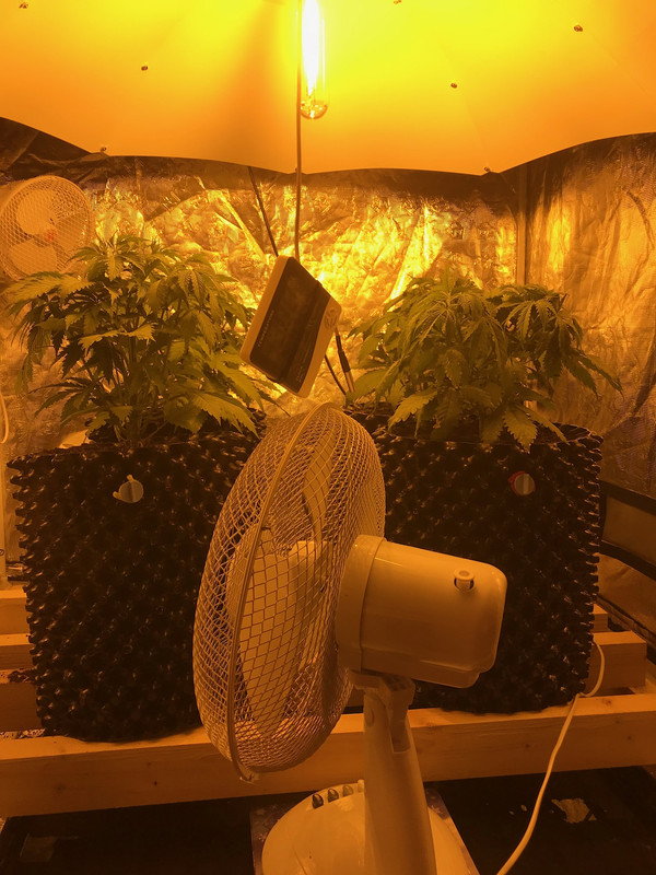 5FB1A497-05C5-4709-AAD7-61663AE8A5A5