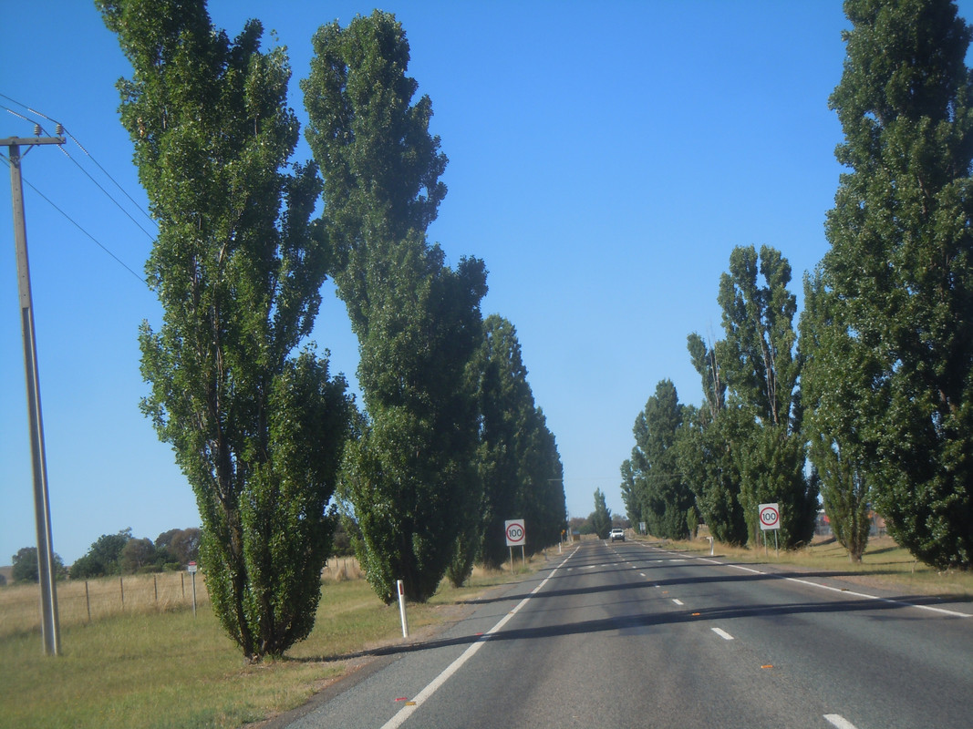 DSCN3666