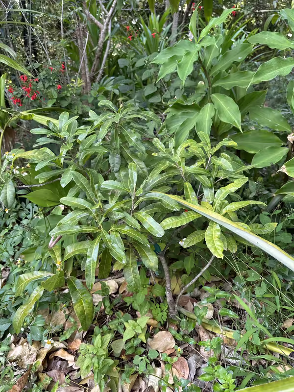 tempImageHKdP72