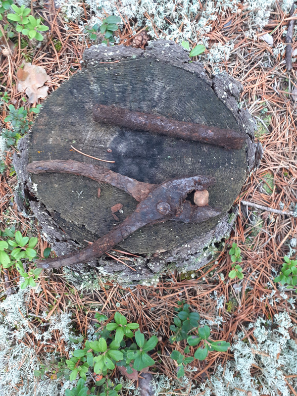 20210828_112125 – kopio