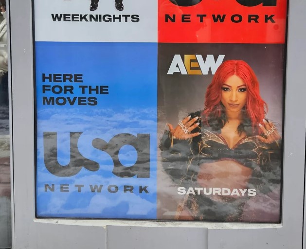 AEW JANUARY 2025 Page 20 ALL ELITE WRESTLING DVDVR Message Board aew-january-2025-page-20-all-elite-wrestling-dvdvr-message-board