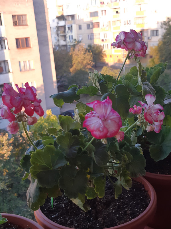20191014_074944