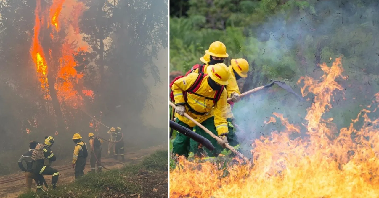 Colombia reporta 31 incendios forestales activos y pide ayuda a la ONU