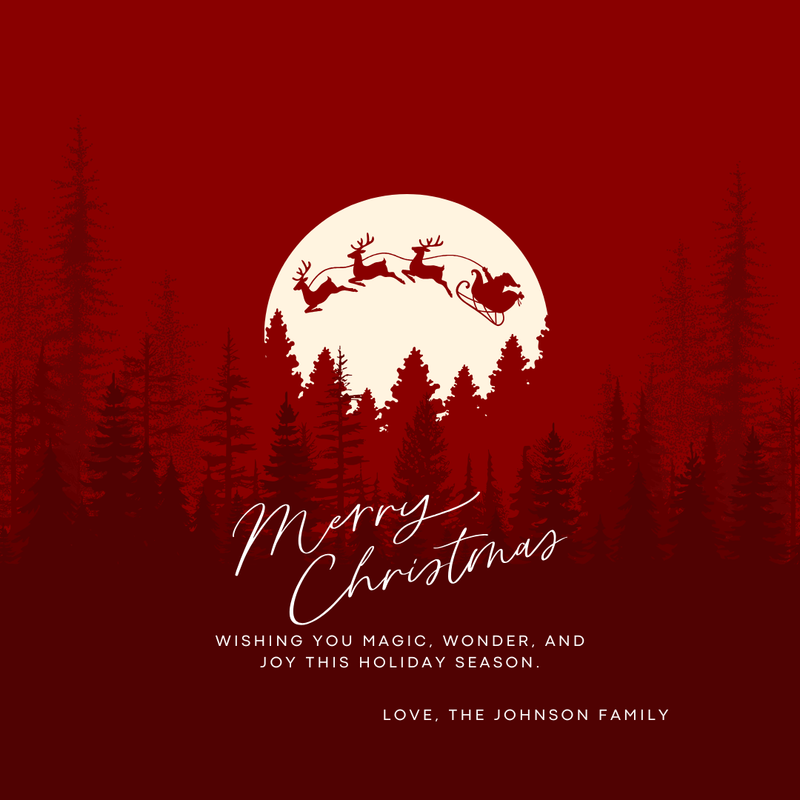 Red White Elegant Christmas Greeting