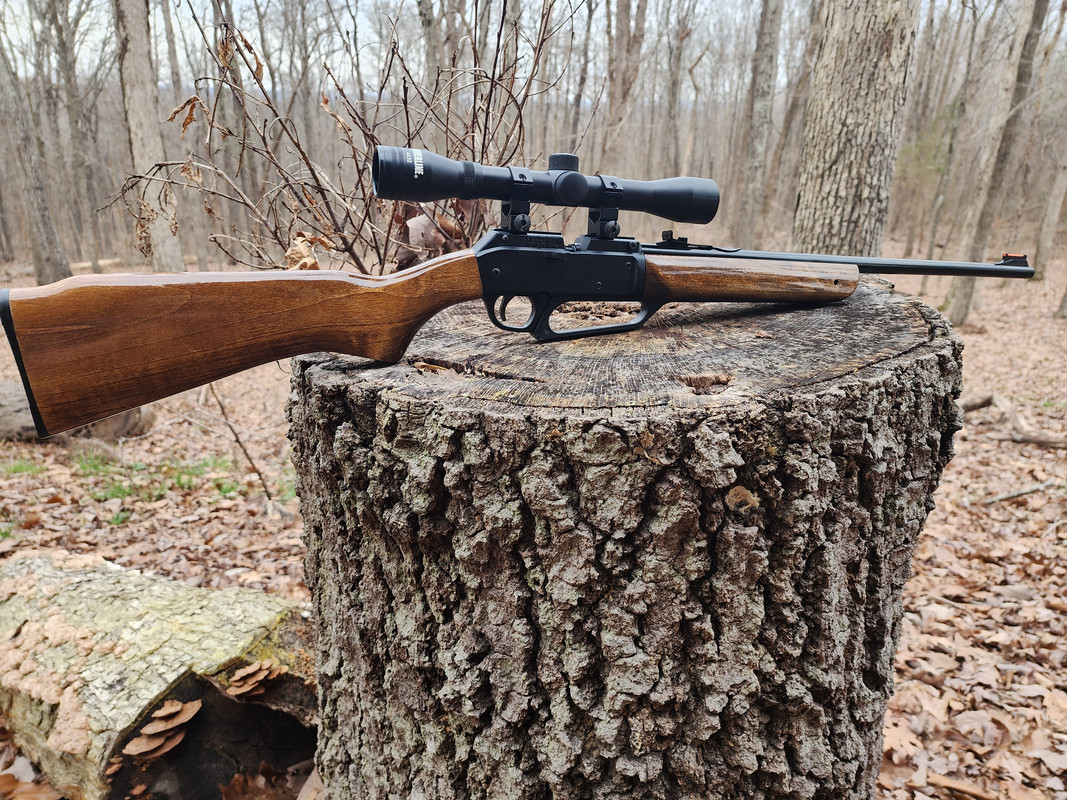 Daisy Powerline 22SG/822 - Airguns & Guns Forum