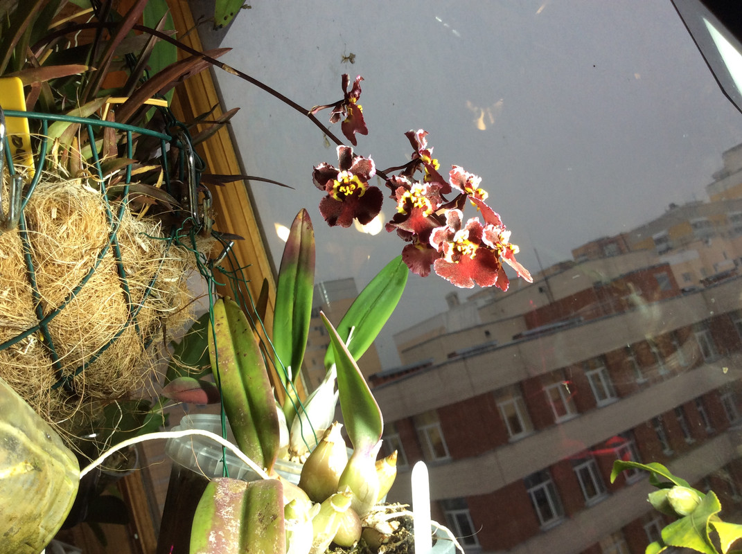 F1064900-2C92-4088-9F39-E269F0187CD9