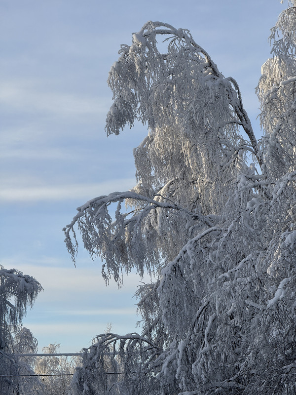 [Immagine: IMG_7563.jpg]