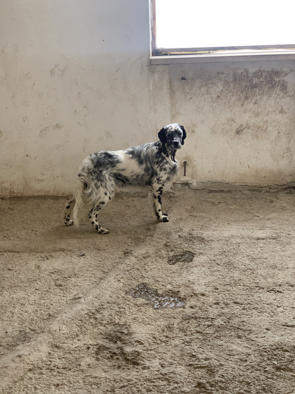 159016CB-5B69-41E4-89FC-884173EB2B56