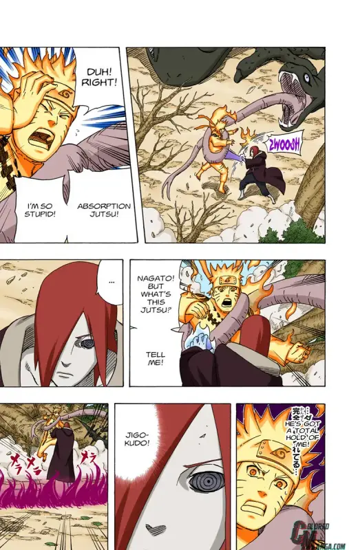 12361012 760 1200 145190