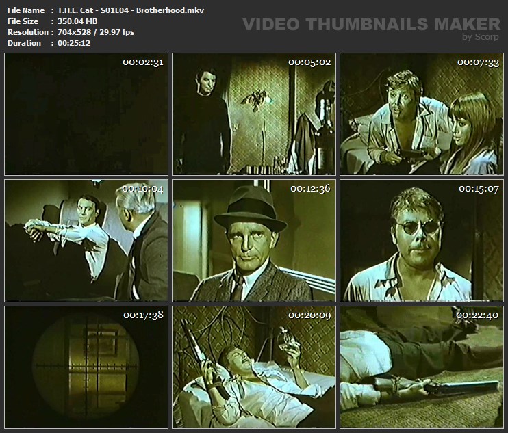 T.H.E. Cat - S01E04 - Brotherhood.mkv