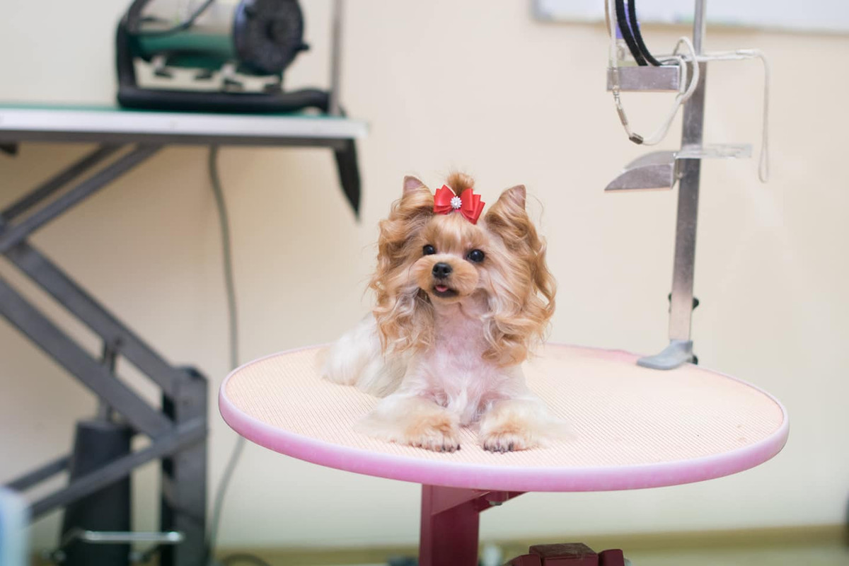 42920495_1850752664993035_5809250521210421248_o (1)