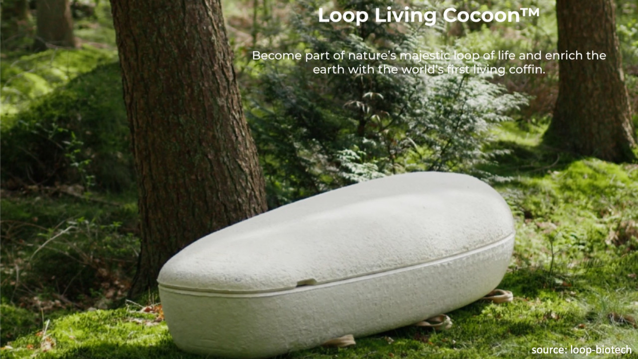 240323-loop-biotech-investment-mushroom-coffin.jpg