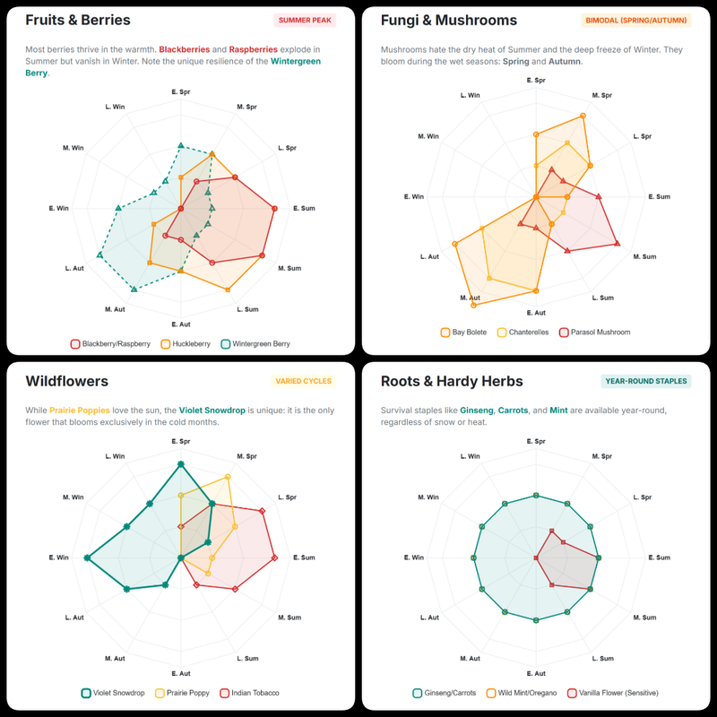 photo collage png (3)