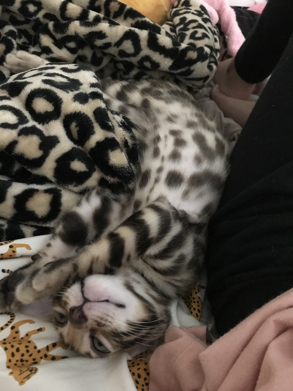 D0 F09 F8 D A47 D 428 B B22 D F11 F1 Babf8 Ab Postimages