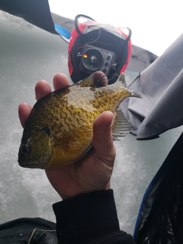 20190205_101727