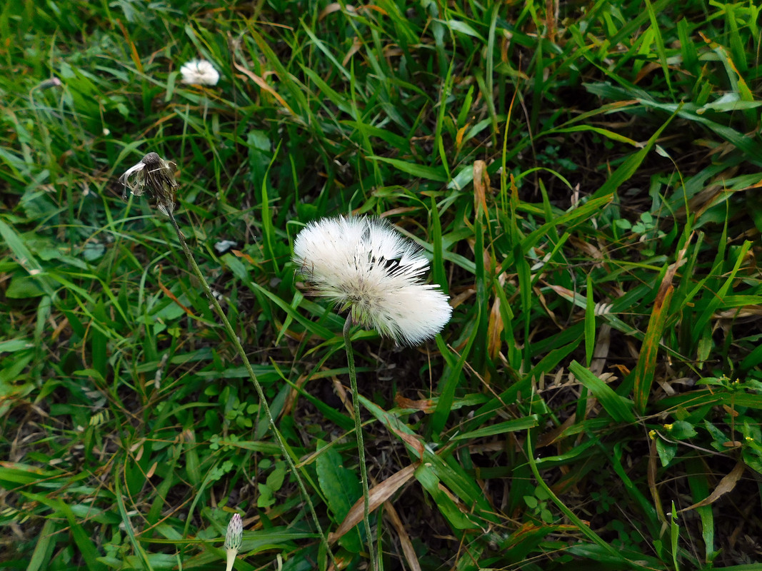 DSCN0059.jpg