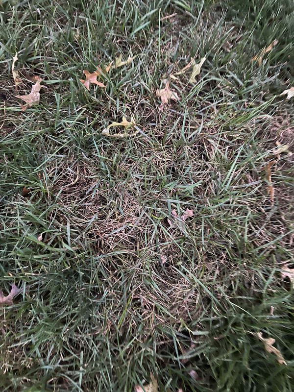 C01E6F17-2E8A-4AB2-A668-194E464DF9CF