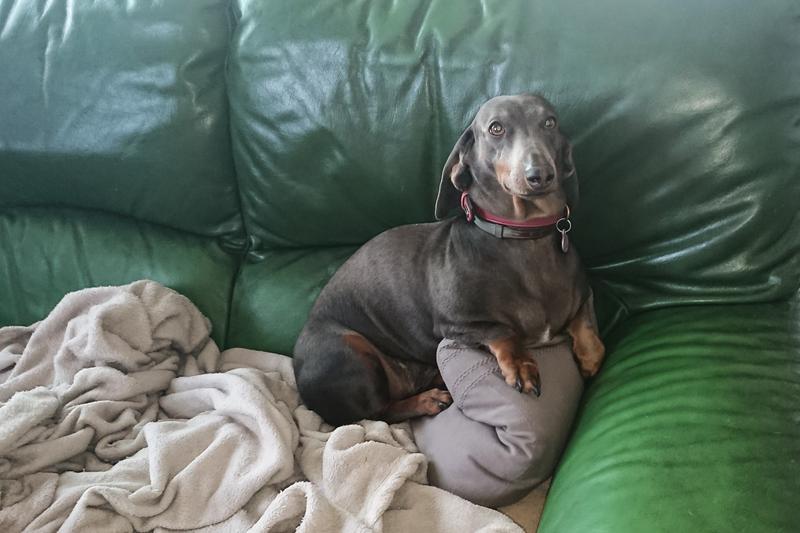 [Image: DSC-4350.jpg]