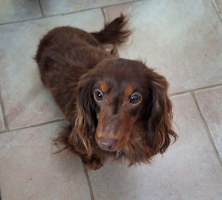 [Image: 20250109-143856.jpg]