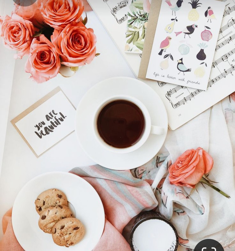 Screenshot_20230330_232113_Pinterest