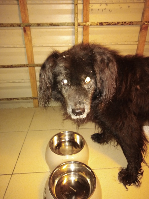 C4197A15-8B1A-48A6-9BF7-A544161F093E