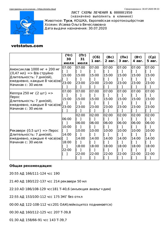 СХЕМА ЛЕЧЕНИЯ В КЛИНИКЕ (Запись амбулаторного журнала 000001950 от 30.07.2020 8 53 30)_page-0001