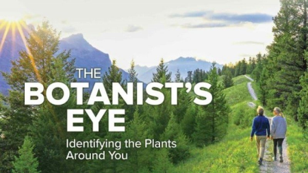 TTC - The Botanist's Eye: Identifying the Plants around You