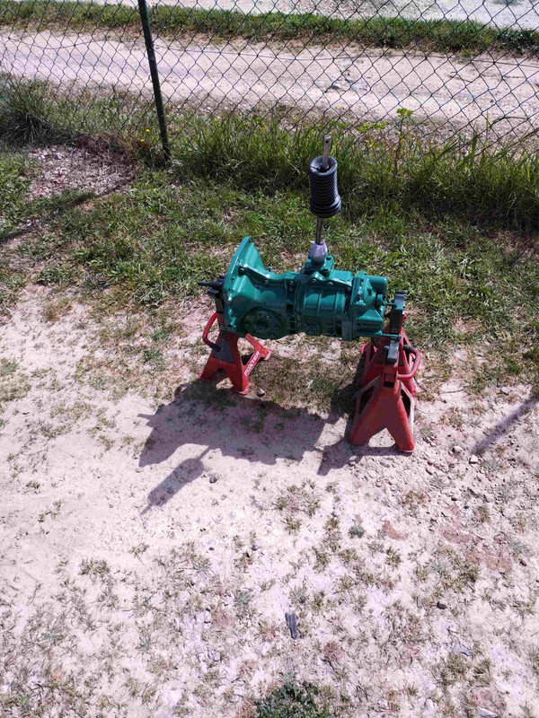 IMG_20250404_123332532