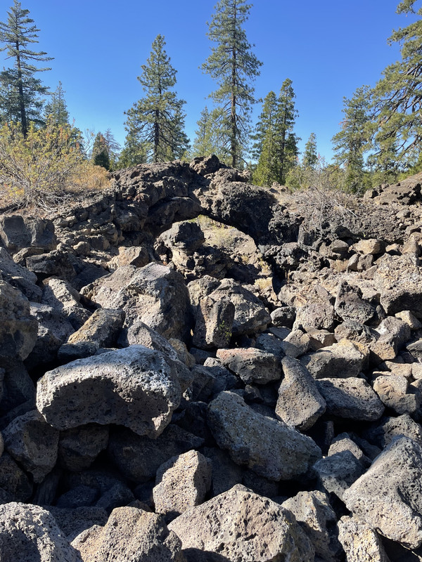 855CB136-6919-4F4E-B2FF-A75235E8A609