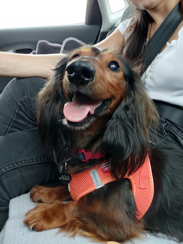 [Image: IMG-20240908-055156.jpg]