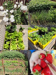 IMG_20250513_205436