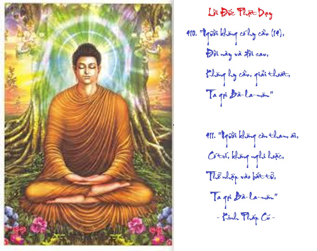 [Image: VERSE410411.jpg]