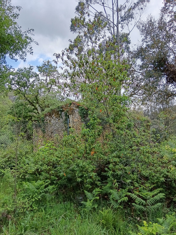 IMG 20260414 165942