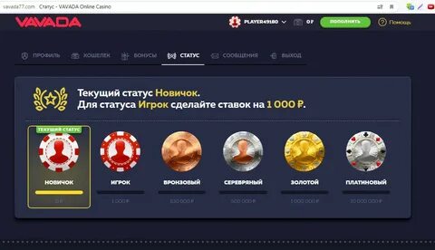 Поддержка Вавада казино: ваша онлайн стойка поддержки в мире азарта