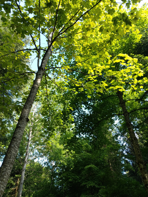 C5793B36-3987-4A00-8756-0332524FF29F