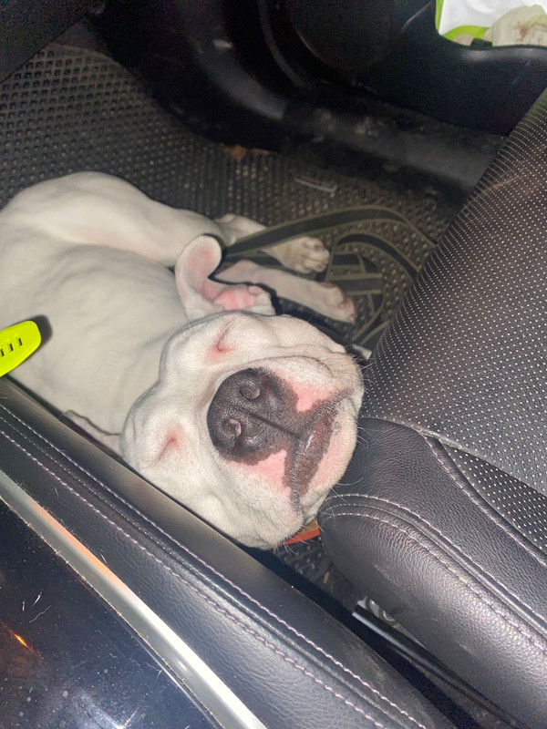 99A73B99-05FC-4A62-A8C2-0C371BC34BCC