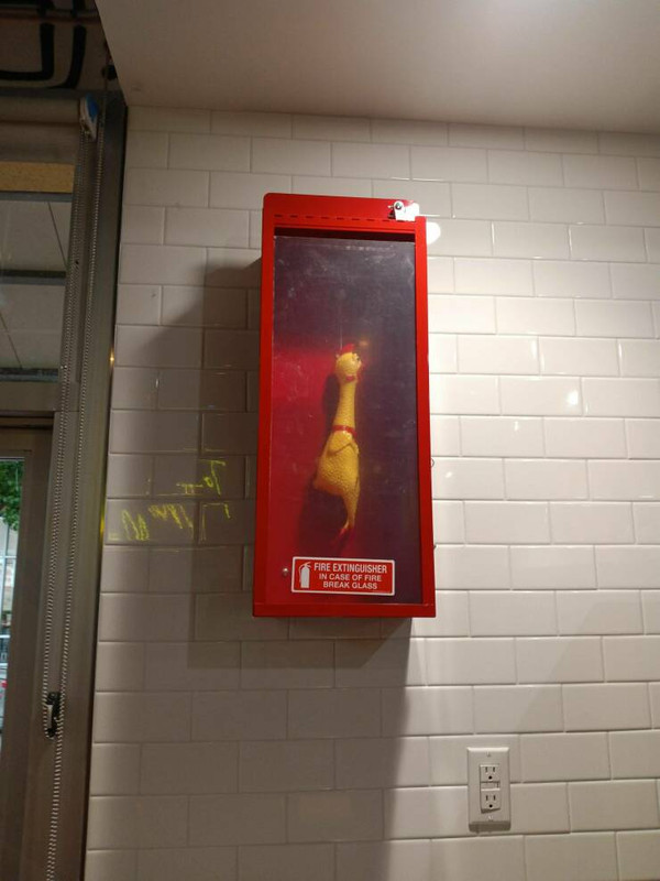 daily-picdump-41-4.jpg