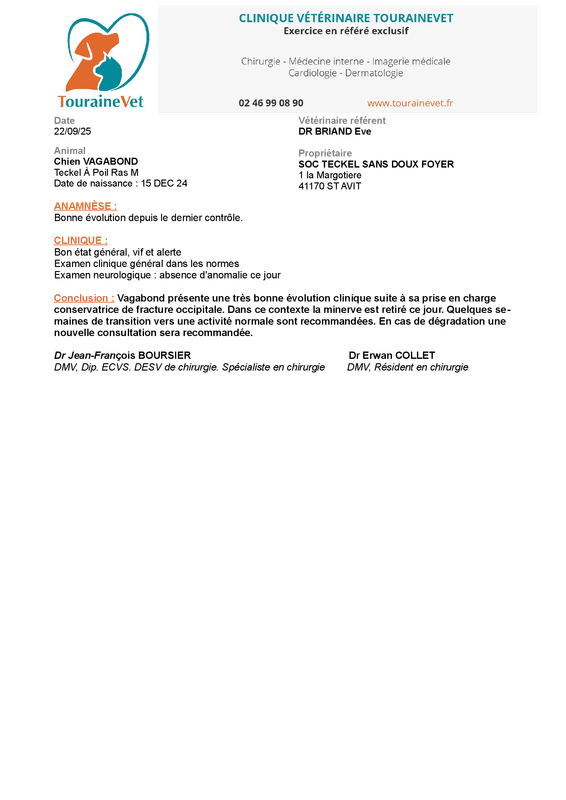 [Image: CR-Consultation-CHIRURGIE3-2.png]