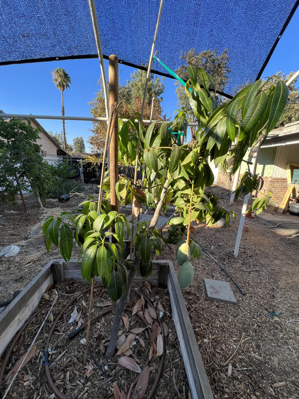 BD442F60-C532-4A88-868B-80F55FF90E95