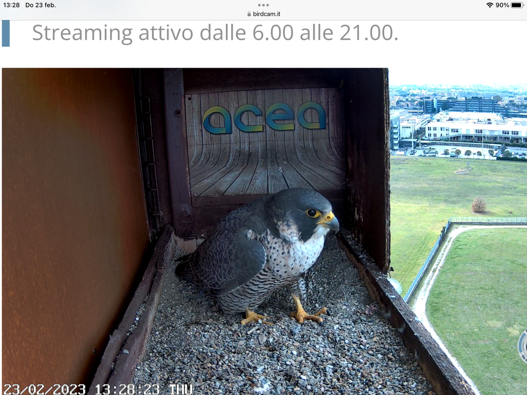 E1765C91-0EC9-465D-B87A-F9CCDDDACB54