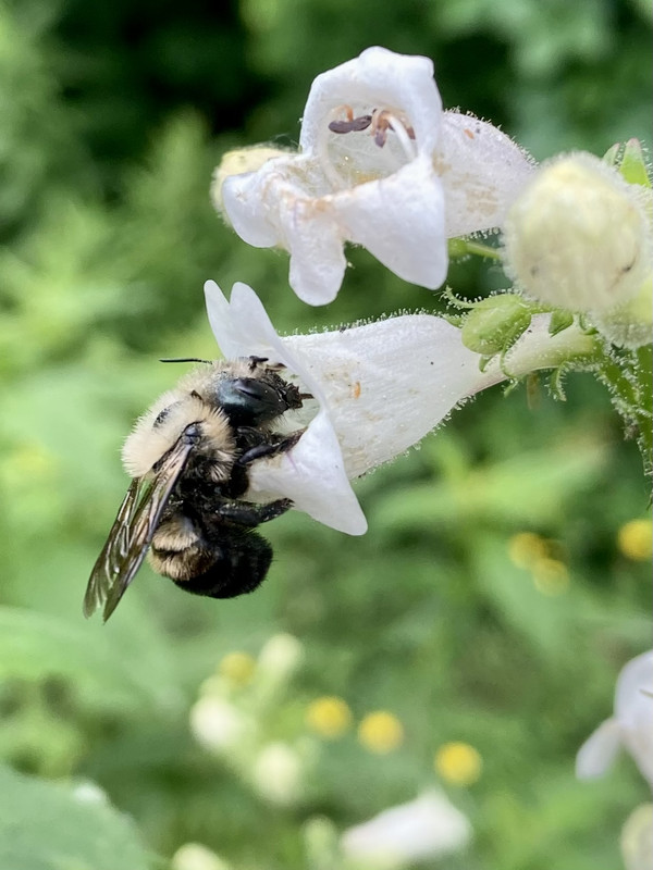 9C4A1712-E7A6-4935-A66F-3282F6FF0C4A