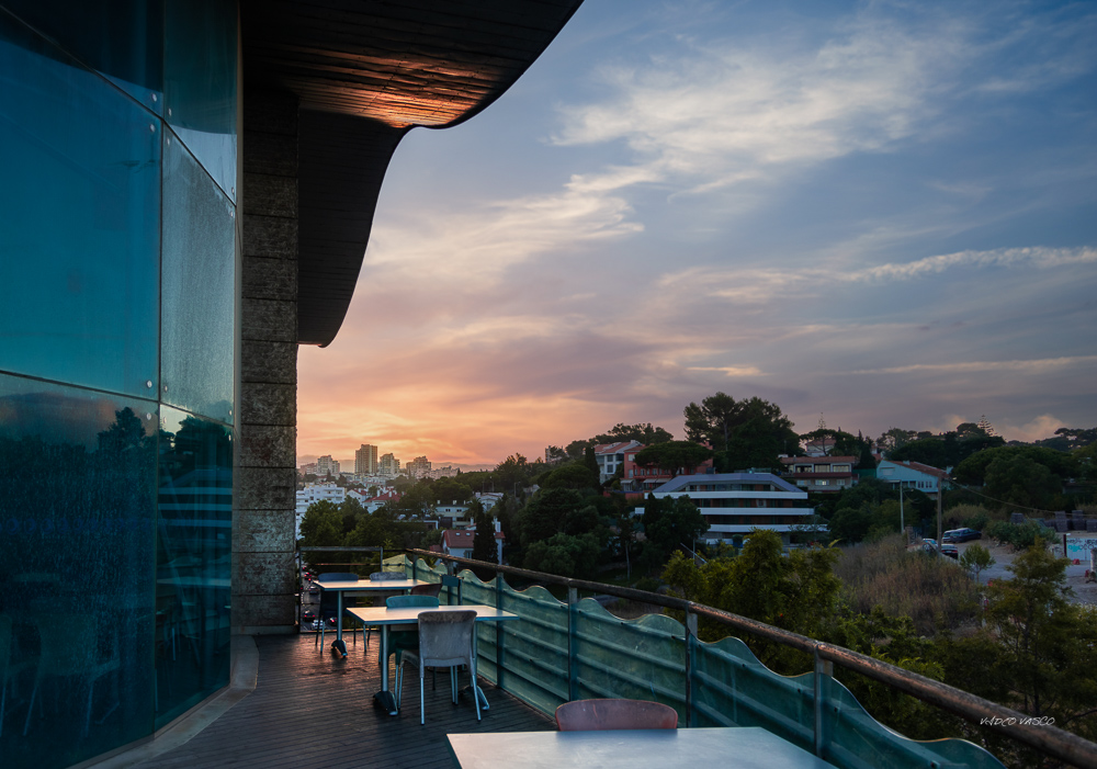 Hive-Villa-Boca-Night-01.jpg