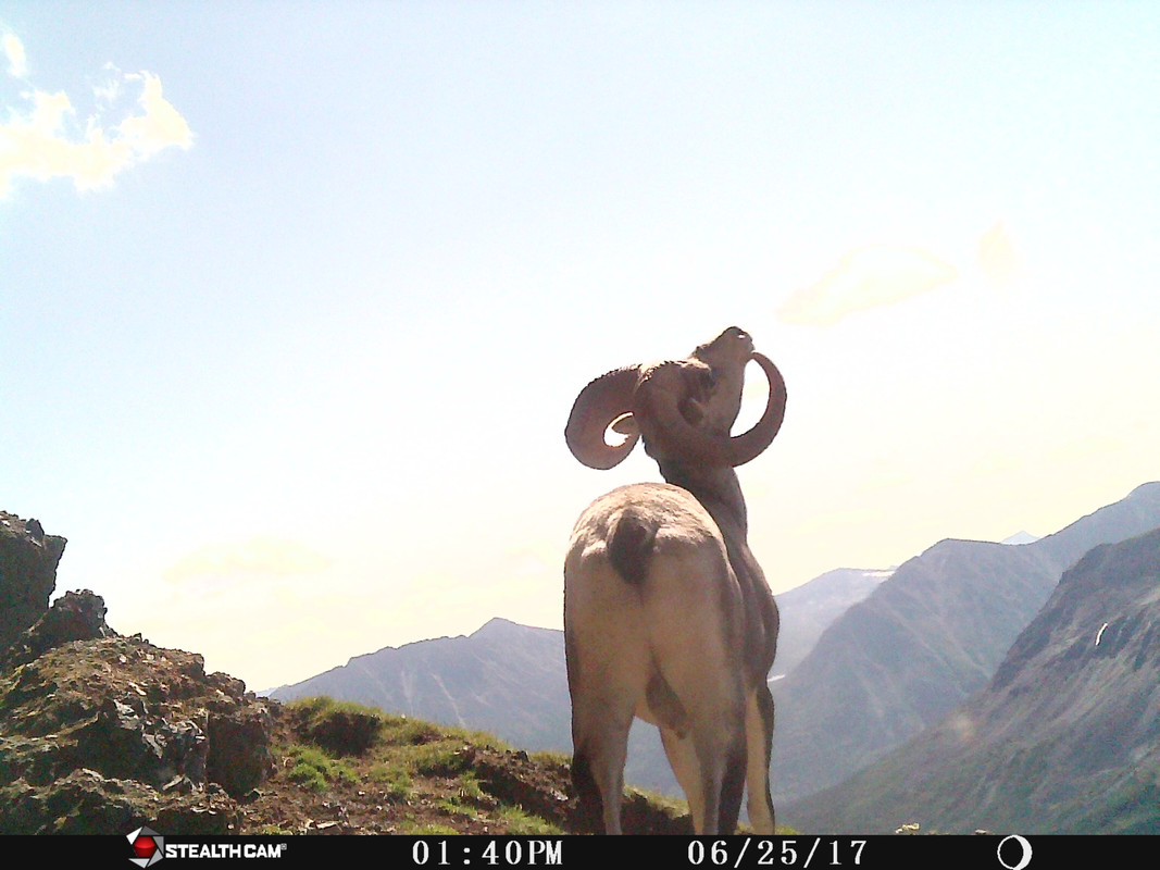 ECE73F48-9B70-4178-B82F-D9AFC23F5A6B