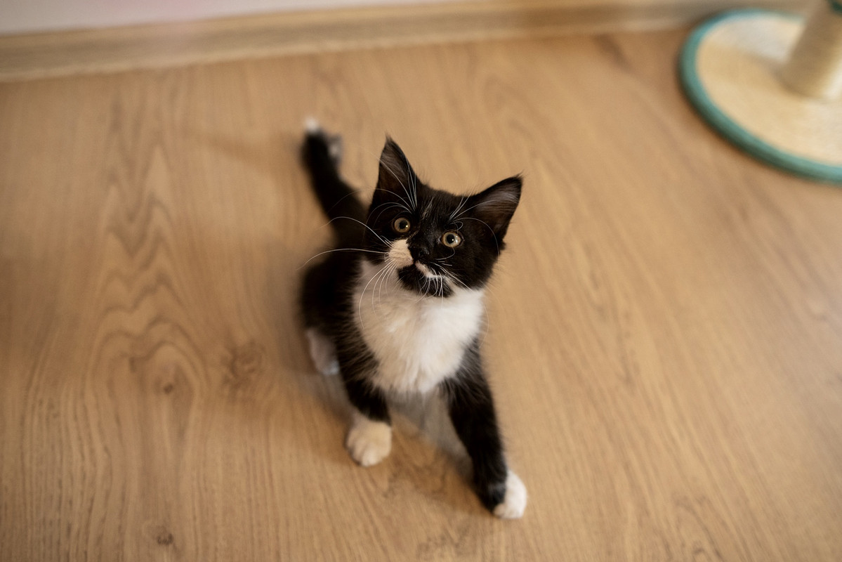 DC6C9AFC-8ACD-43FF-8D0B-62EDCCF7B449