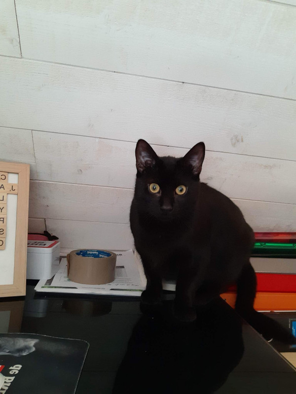 received_1324736948289079