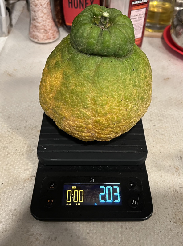 FullSizeRender