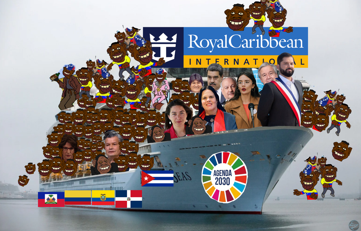 crucero-boric-50.png