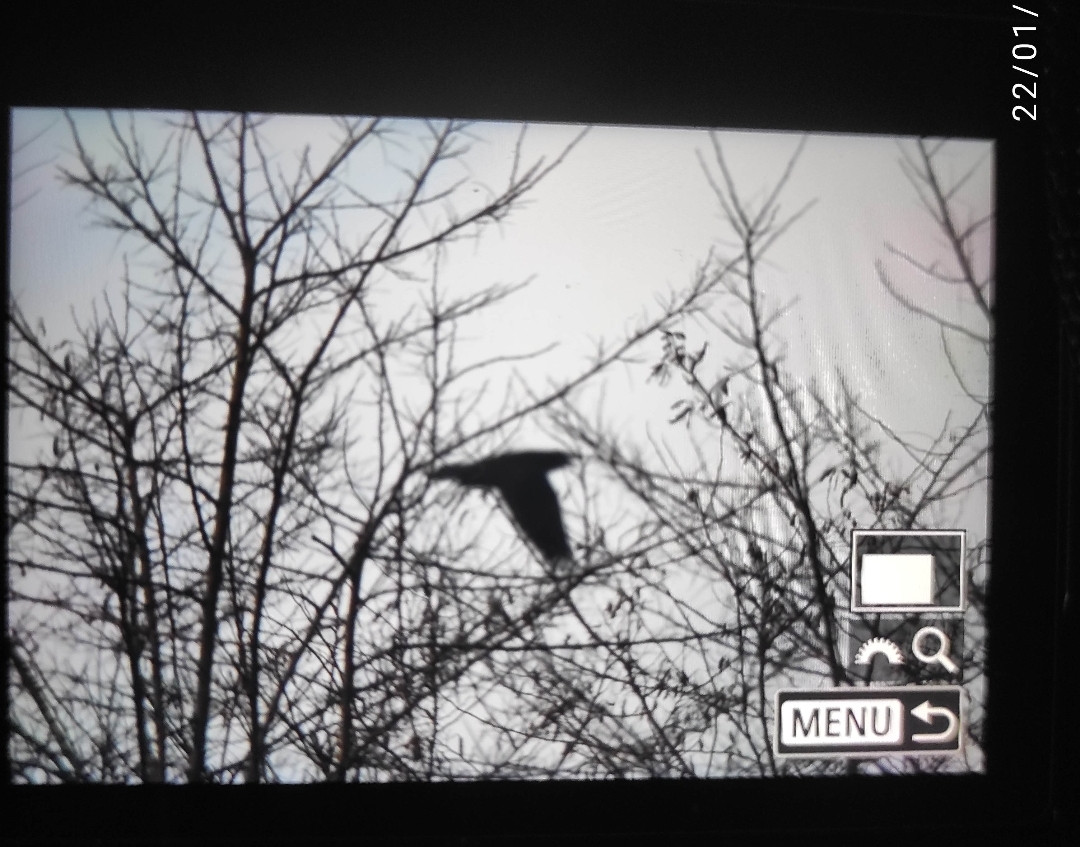 Screenshot 2026 01 22 16 26 21 888 edit com simplemobiletools gallery pro