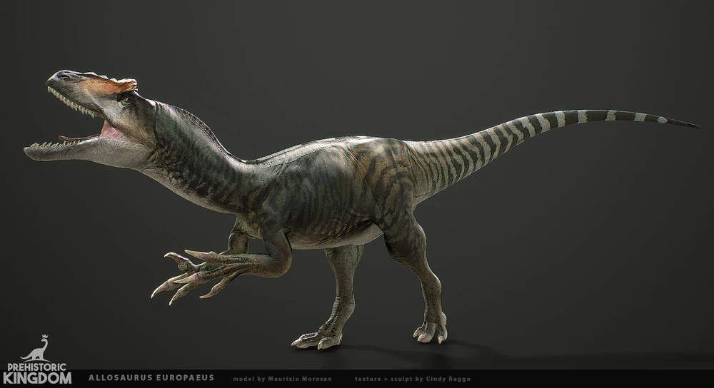 Souced from: <a href='https://prehistorickingdom.fandom.com/wiki/Allosaurus#Development'>Prehistoric Kingdom Wiki</a>
