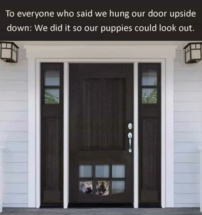 [Linked Image from i.postimg.cc]